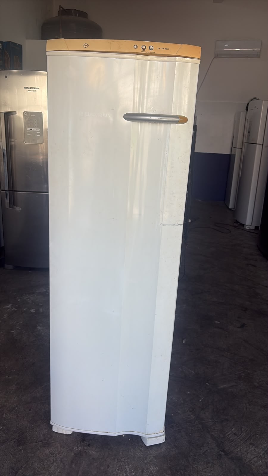 Freezer Electrolux