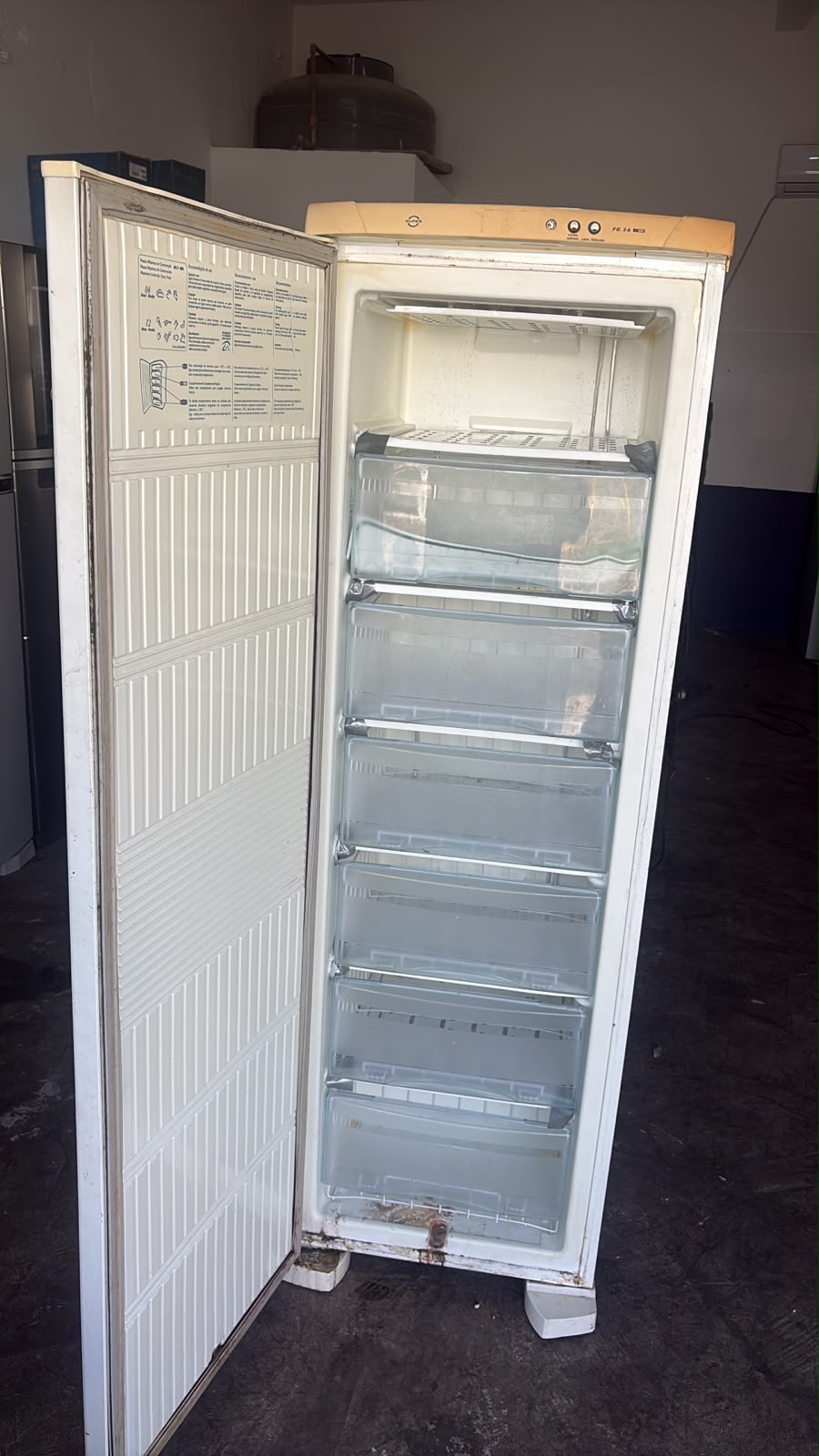 Freezer Electrolux