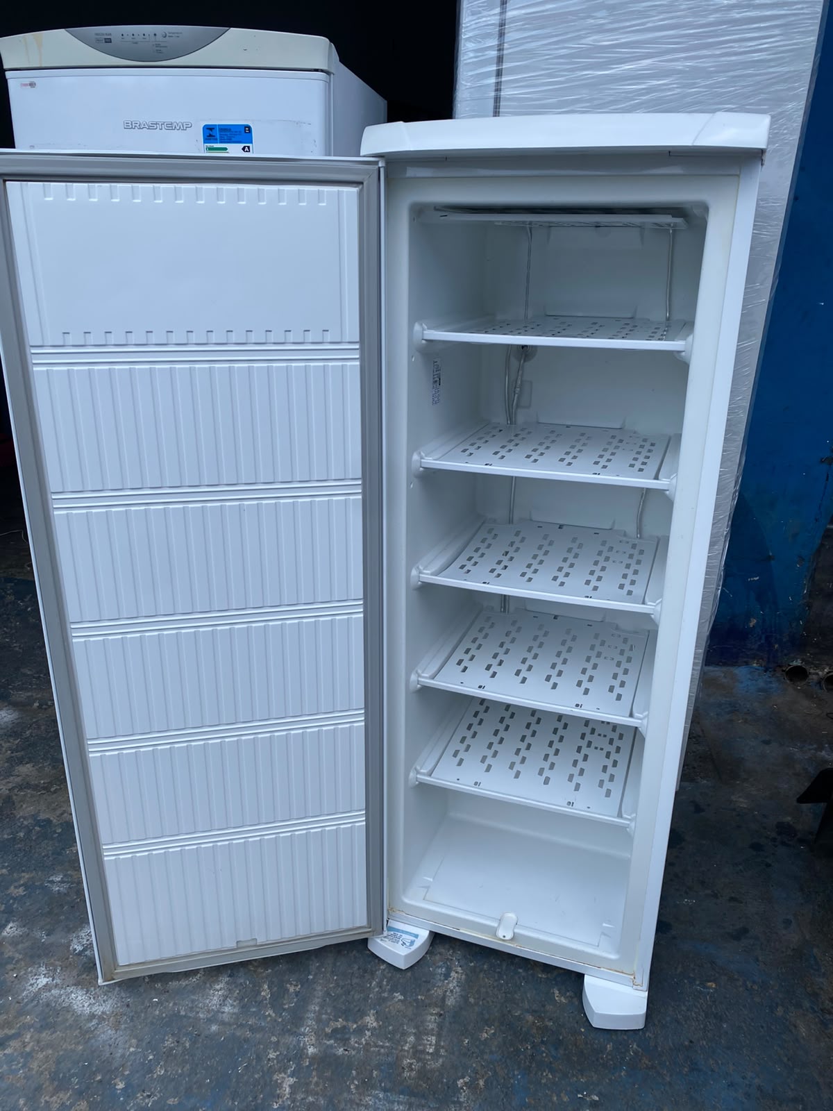 Freezer Electrolux
